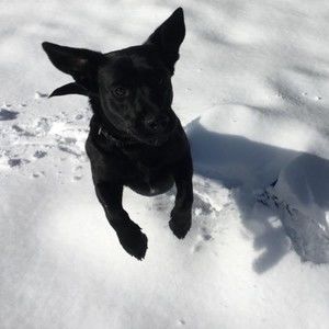 Meet your Posher, Fiona